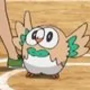 ぼんじり