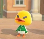 メメの画像