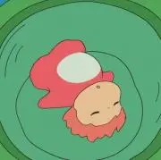 ひまの画像