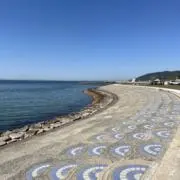 たいこの画像