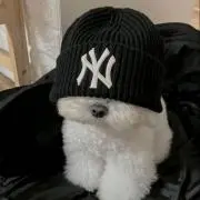 page.xxxの画像