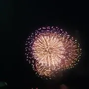 ことりの画像