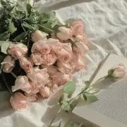 B.﻿の画像