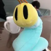 みーちゃんの画像