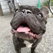 tanabe0802の画像
