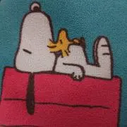 みかんの画像