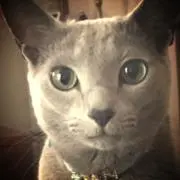 ナオコミソ