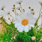 Na▷商品説明必読☆再出品中の画像