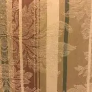 カコの画像