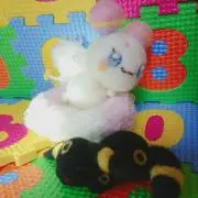ひまわり＆familys値下◎発送遅延有