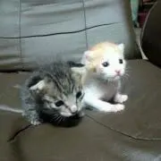 ゆーた