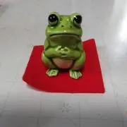チッチの画像