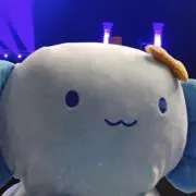 小鳥遊(プロフ要確認)