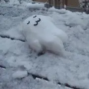 965の画像