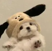まるの画像