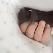 AZM.