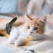 くられおの画像