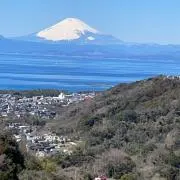 ラモスの画像
