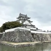 ライチの画像