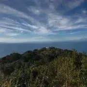 toomoomiy193の画像