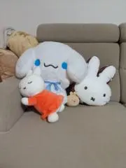 Mizukusaの画像