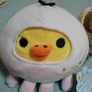 きみちゃんの画像
