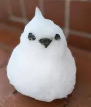 のんの画像