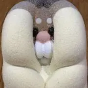 ハムの画像