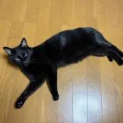 恭二の画像