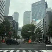 クロミの画像