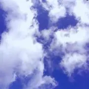 ポイポイ太