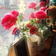 cocoの画像