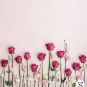 mocaron♪の画像