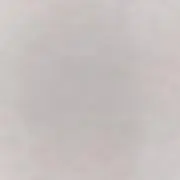 y-coの画像