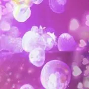 ♡