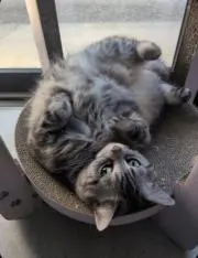 なっちの画像