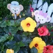 mai♡値下げ相談可の画像
