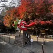 JIROの画像