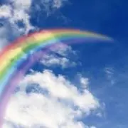 みのむしの画像