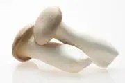 えりんぎの画像