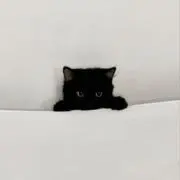 くろねこ