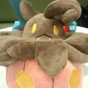 ヤクモ