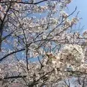 らん