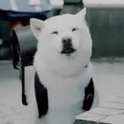 かぴぱら  プロフみてね