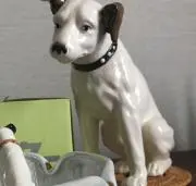 ビクター君の画像