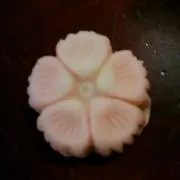 花のれんの画像