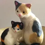 ピカピカの画像