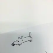 はっしーの画像