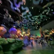 タナダイ
