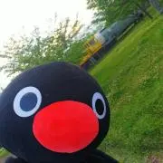ピングーの画像